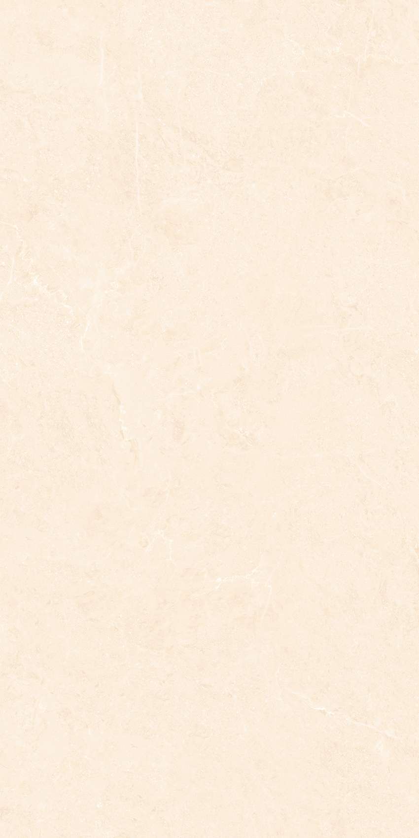 BM-G61205P1