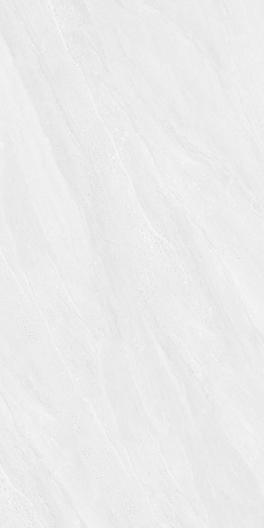 BM-T61211P1