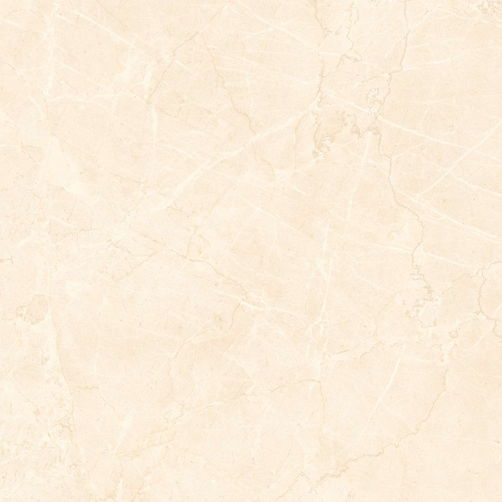 BM-I88005P1
