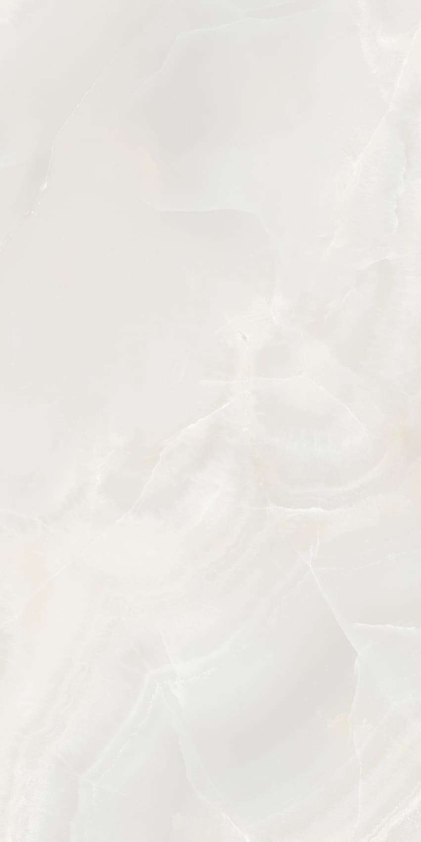 SH-O48001P